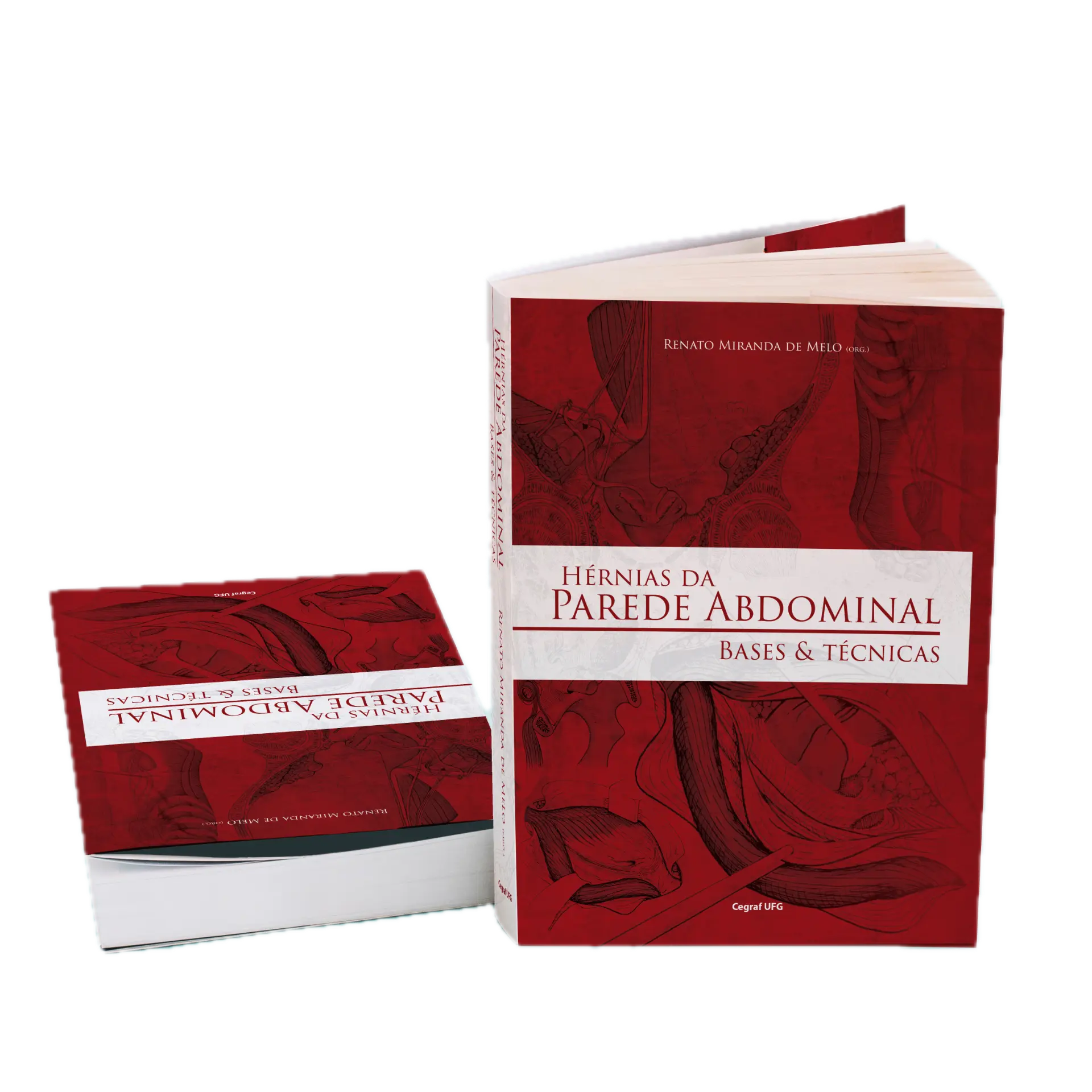 Livro Hérnias da Parede Abdominal: Bases e Técnicas